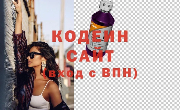 гидра Няндома