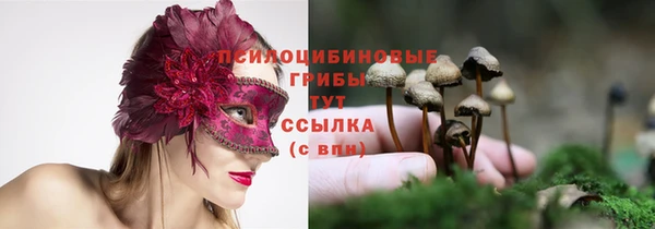 ешки Алзамай