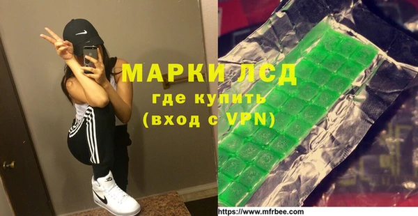 ПСИЛОЦИБИНОВЫЕ ГРИБЫ Арсеньев