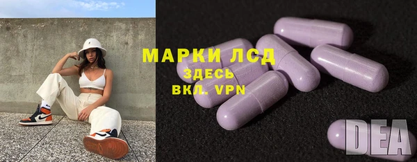 индика Алексин